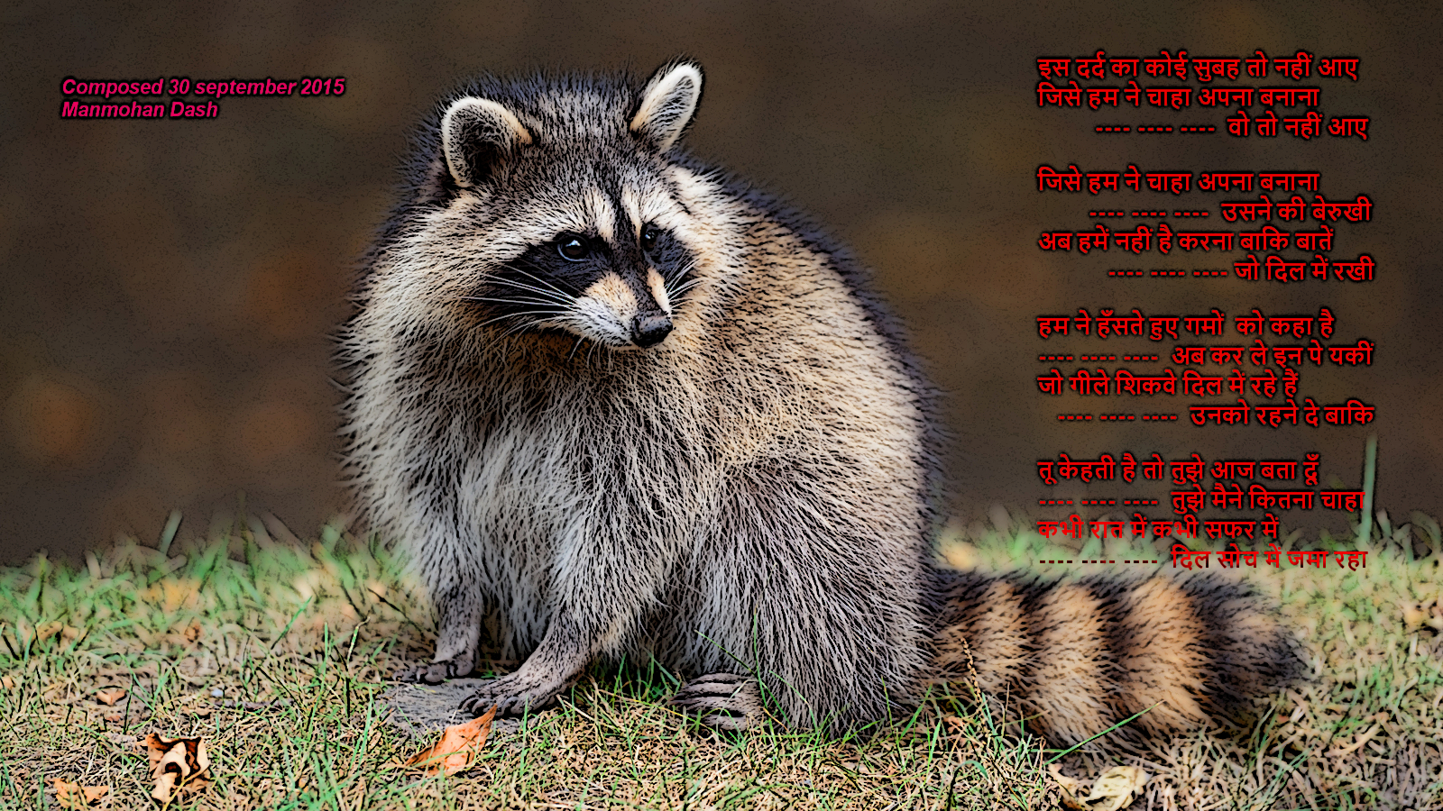 raccoon7_edit
